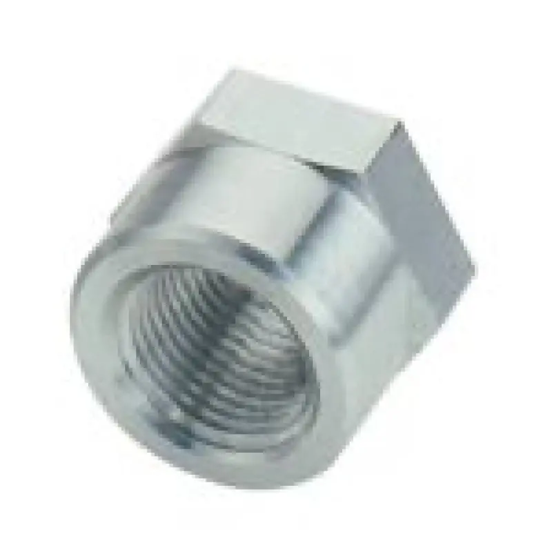 Fragola 1In Fpt Weld Bung 1