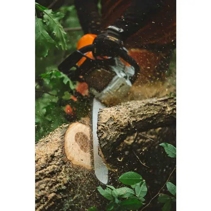 Stihl® Ms 462 C-M With 25 Inch Bar And Chain 1