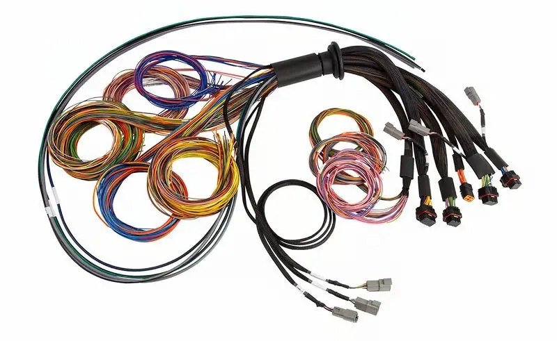 Haltech Nexus R5 Universal Wire-In Harness - 5M (16Ft) 1